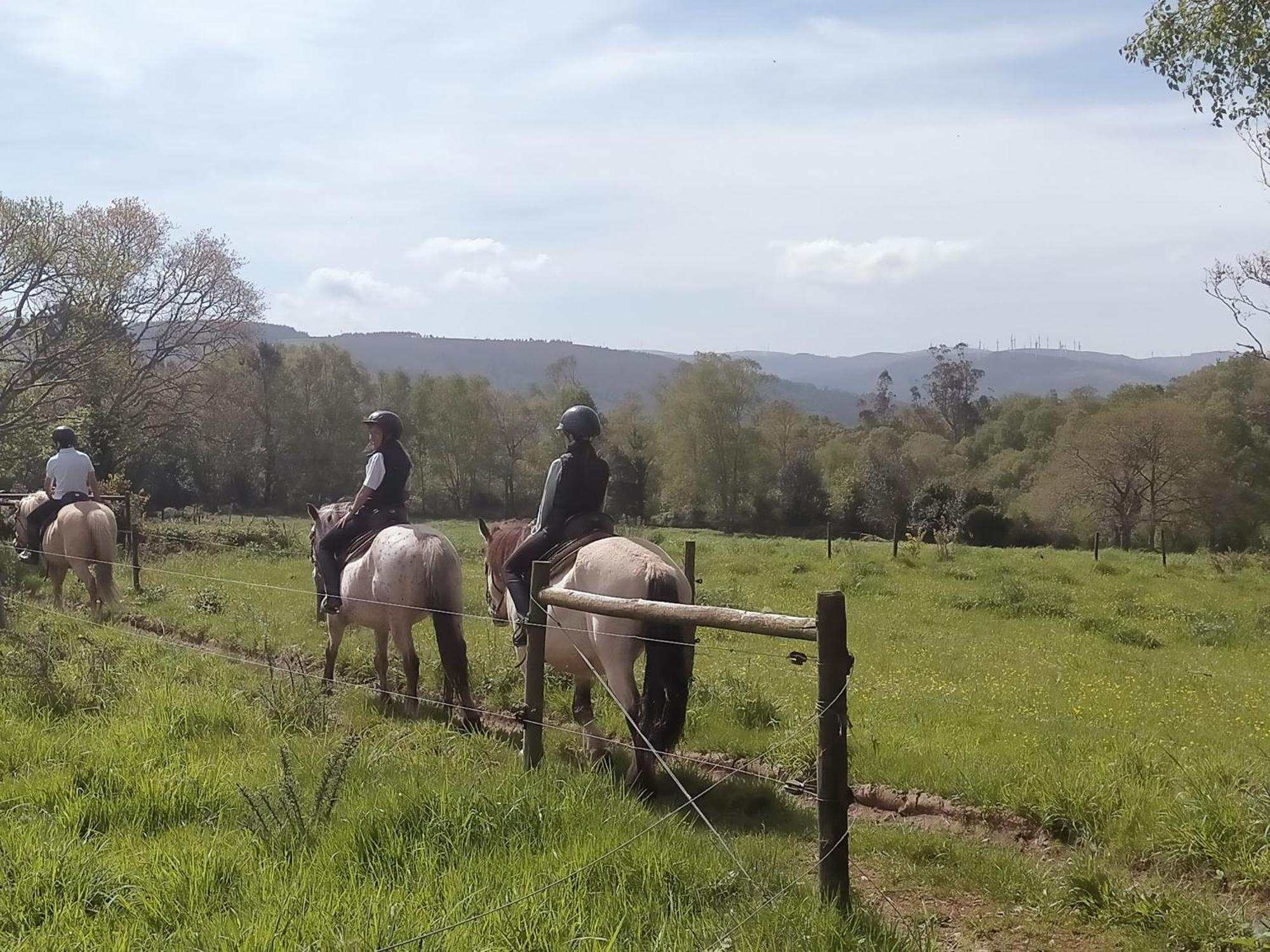 Granja Labrada: Alojamiento Con Caballos Manon Zewnętrze zdjęcie